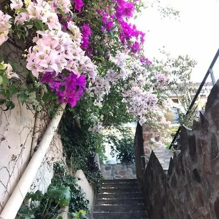 Lapacho Hostel Salta Coliving Exterior photo